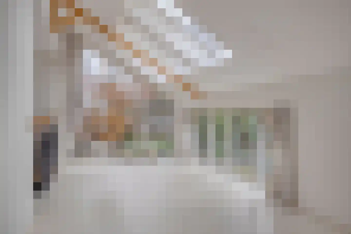 Molenwerf 4 Edam thumbnail 32