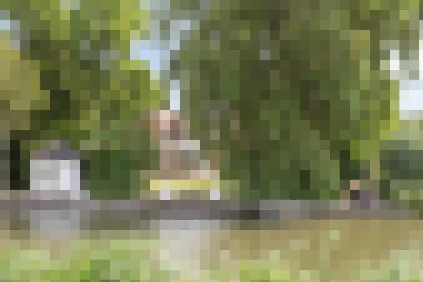 Molenwerf 4 Edam thumbnail 35