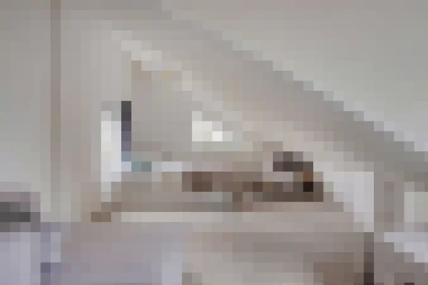 Molenwerf 4 Edam thumbnail 41