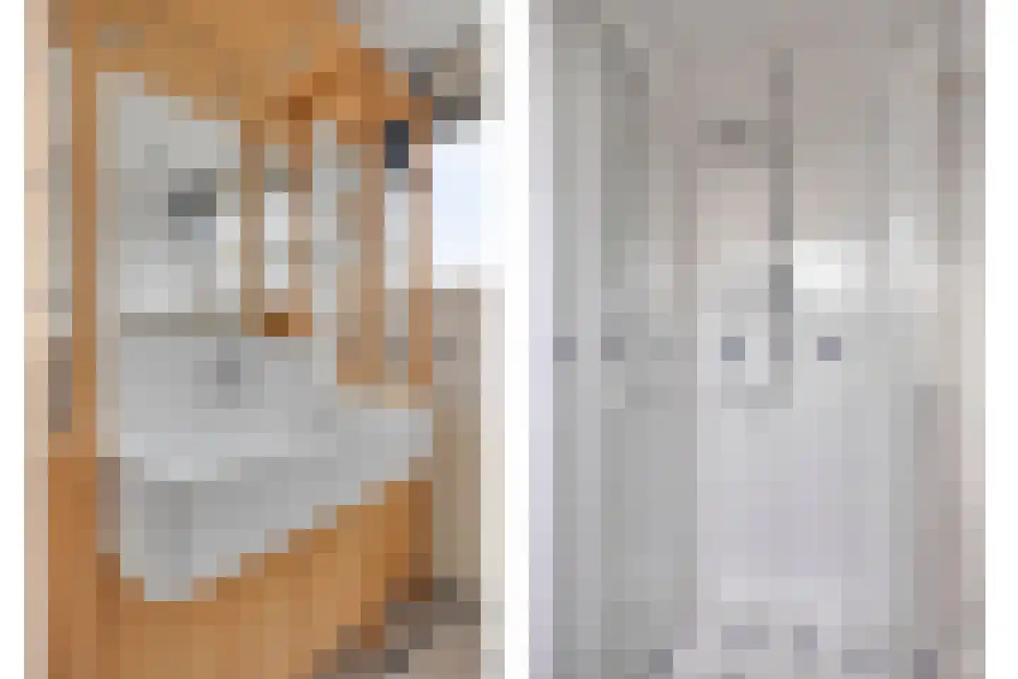 Molenwerf 4 Edam thumbnail 43