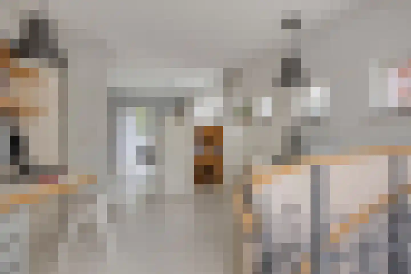 Molenwerf 4 Edam thumbnail 50