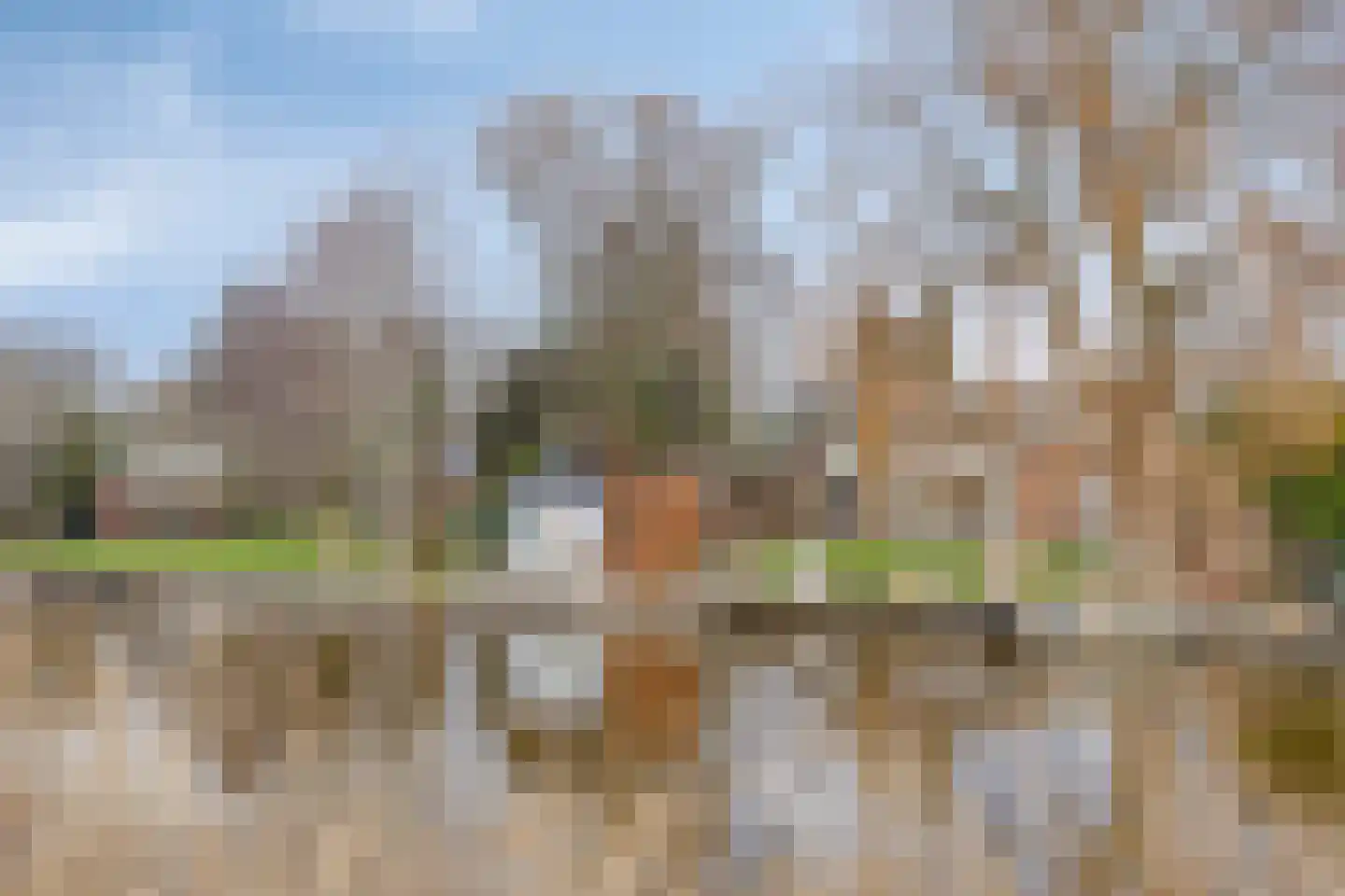 Molenwerf 4 Edam thumbnail 58