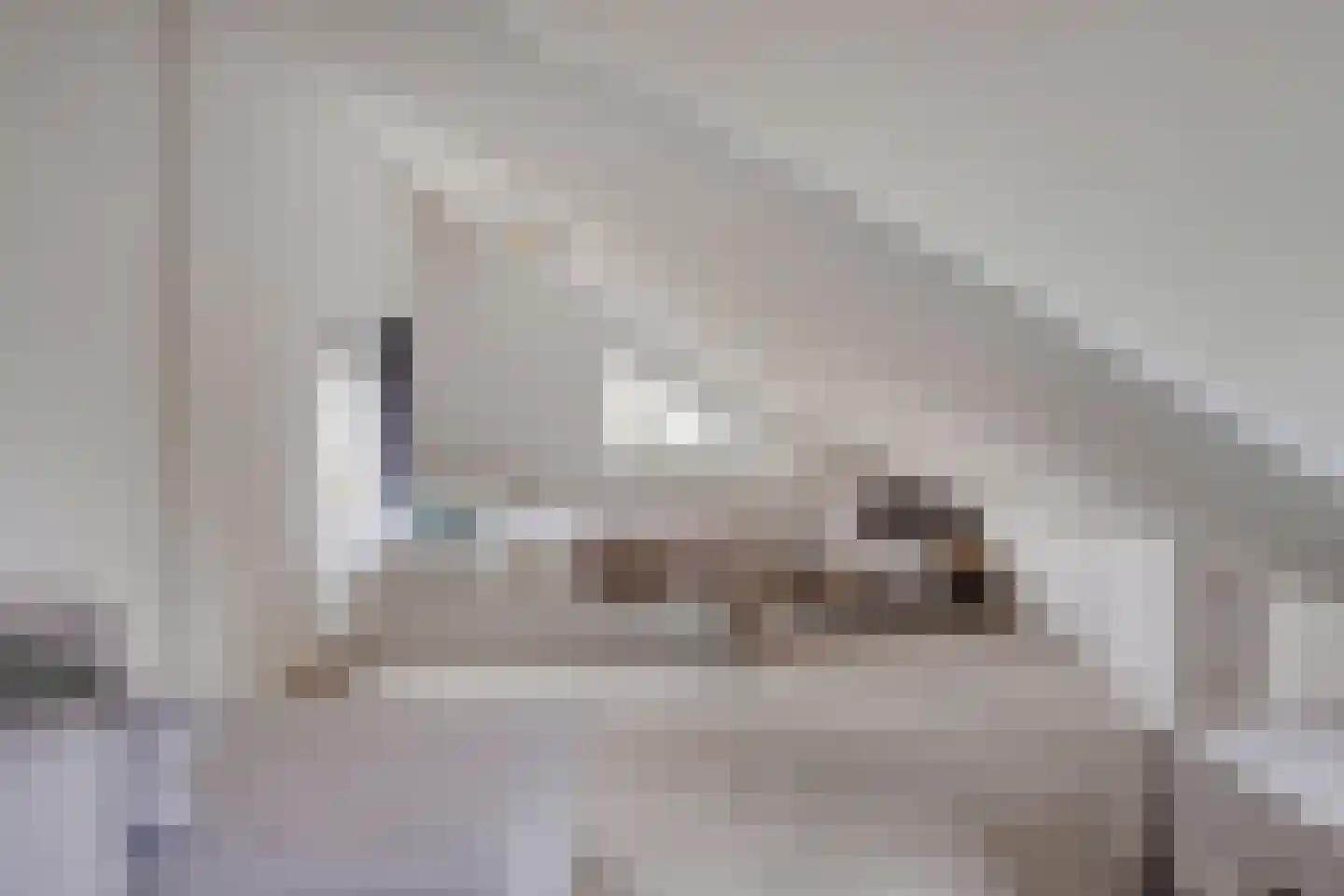 Molenwerf 4 Edam thumbnail 60