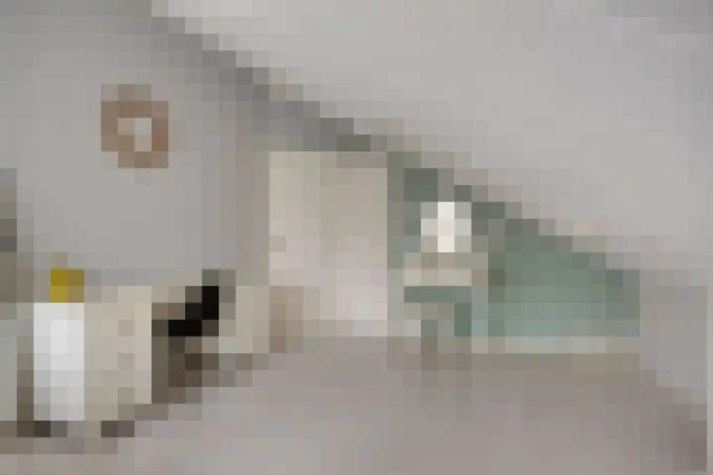 Molenwerf 4 Edam thumbnail 66