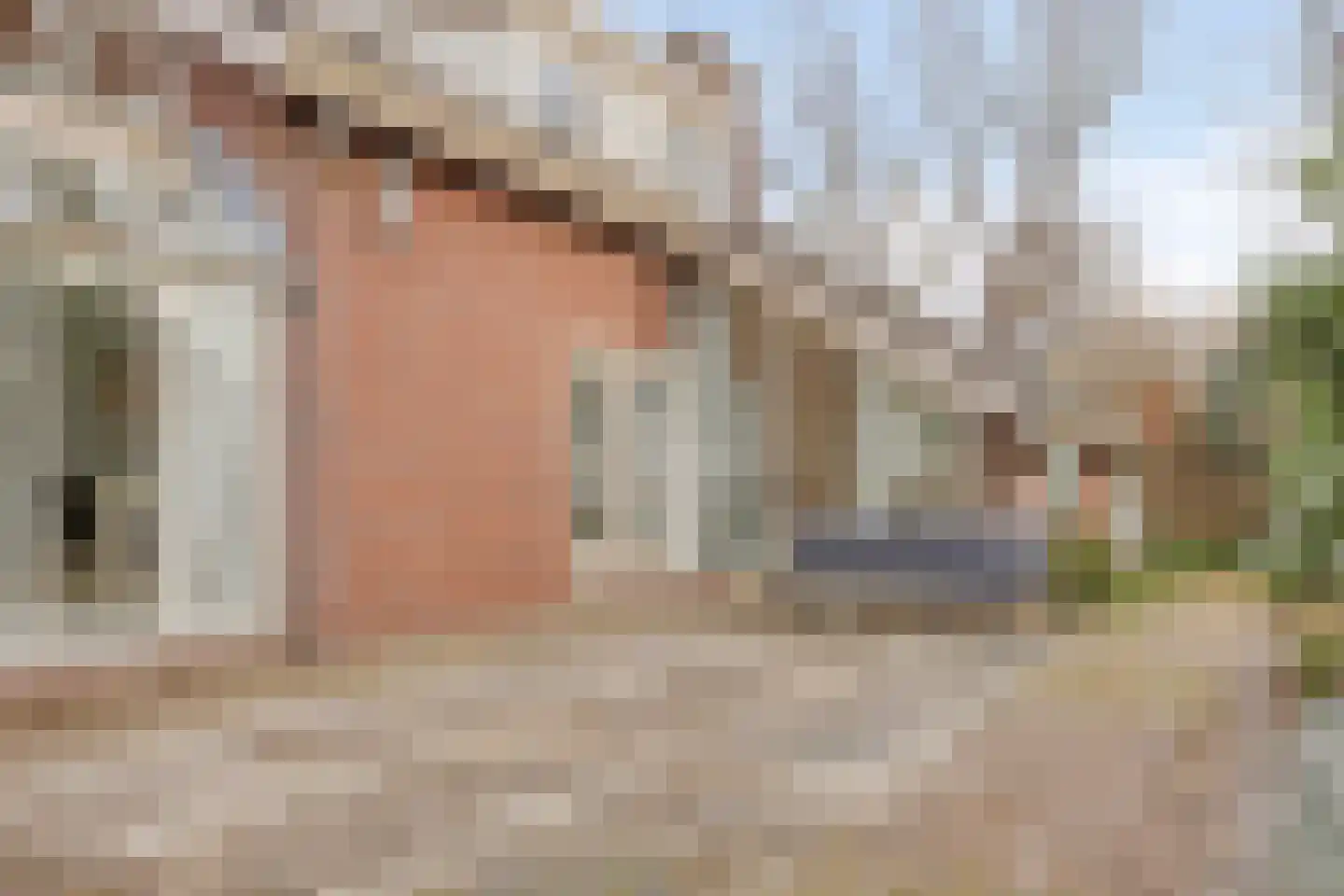Molenwerf 4 Edam thumbnail 67