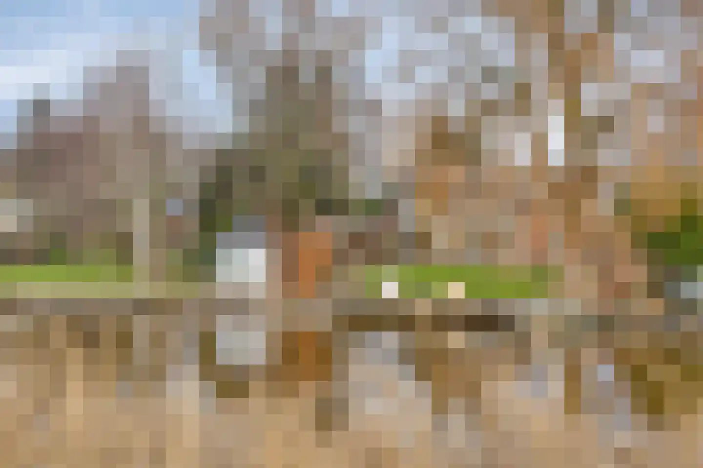 Molenwerf 4 Edam thumbnail 77