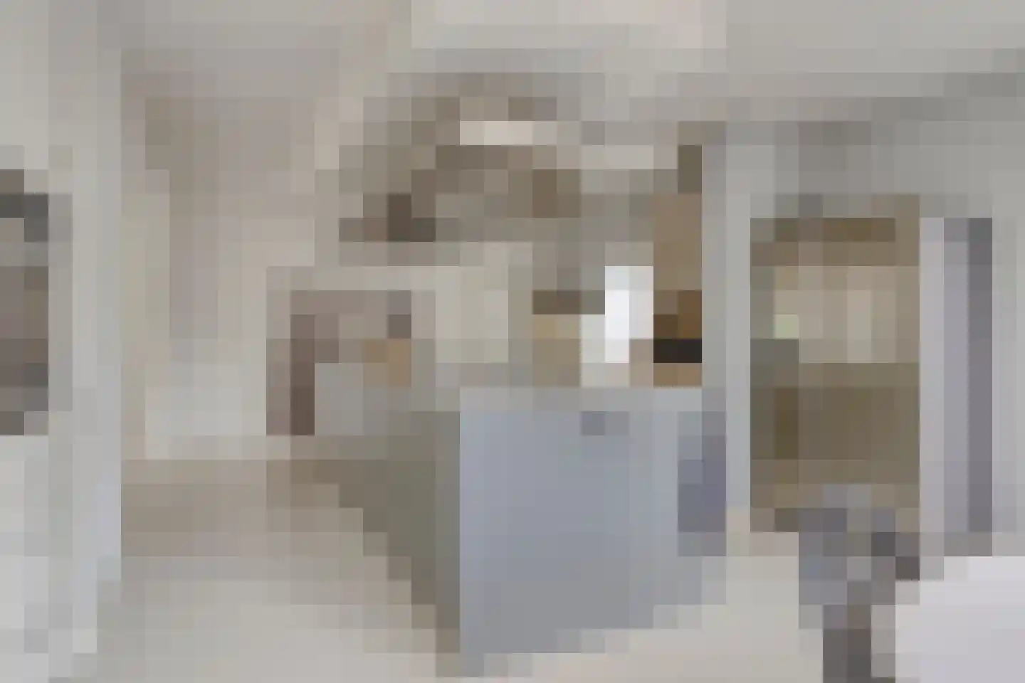 Molenwerf 4 Edam thumbnail 9