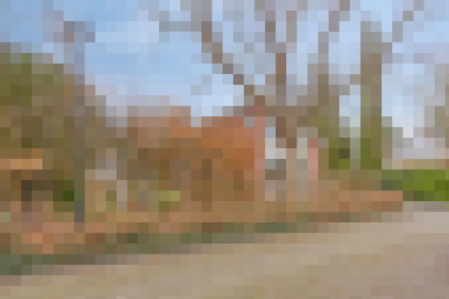 Molenwerf 4 Edam thumbnail 9