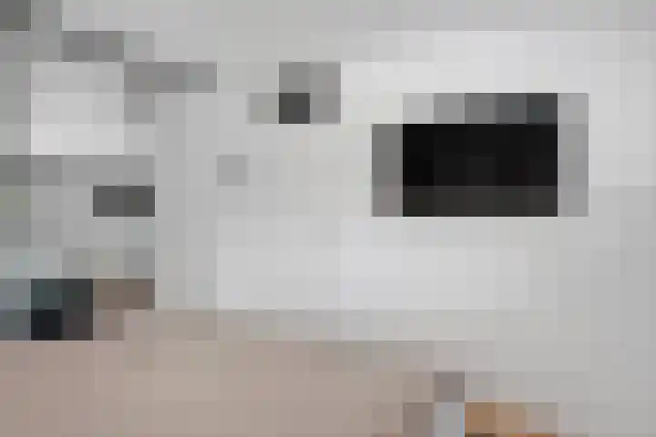 Molenwerf 57 Klazienaveen thumbnail 26
