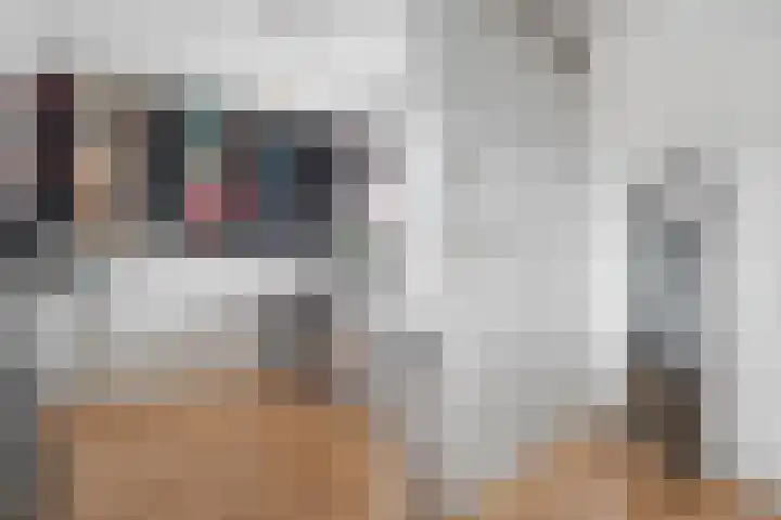 Molenwerf 57 Klazienaveen thumbnail 30