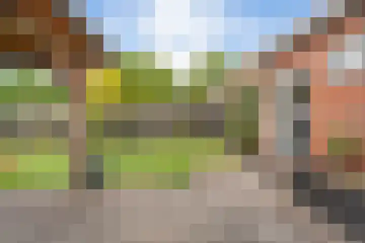 Molenwerf 57 Klazienaveen thumbnail 33