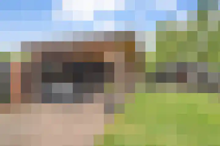 Molenwerf 57 Klazienaveen thumbnail 35