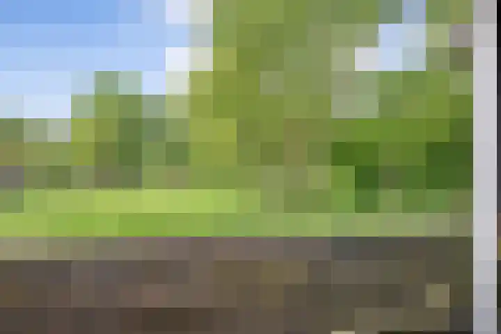 Molenwerf 57 Klazienaveen thumbnail 41