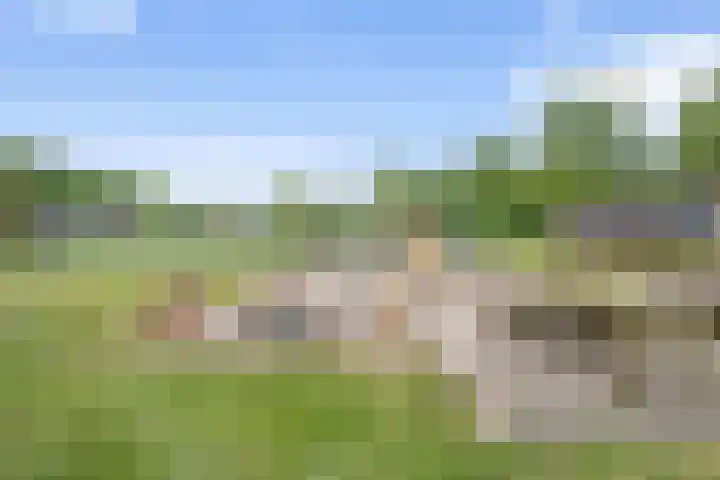 Molenwerf 57 Klazienaveen thumbnail 45
