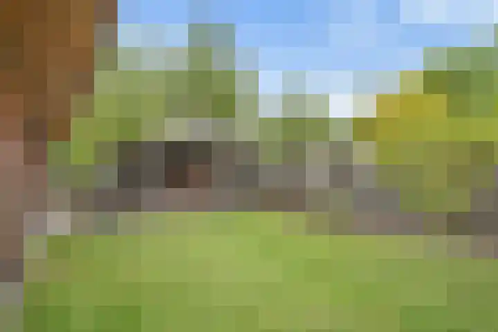Molenwerf 57 Klazienaveen thumbnail 6