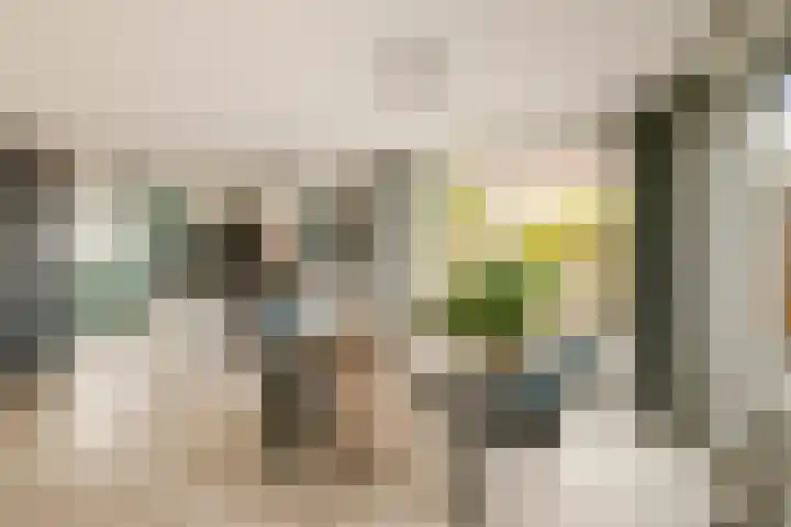 Molenwerf 6 Spaarndam thumbnail 10