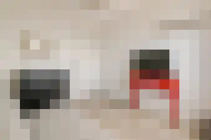Molenwerf 6 Spaarndam thumbnail 23