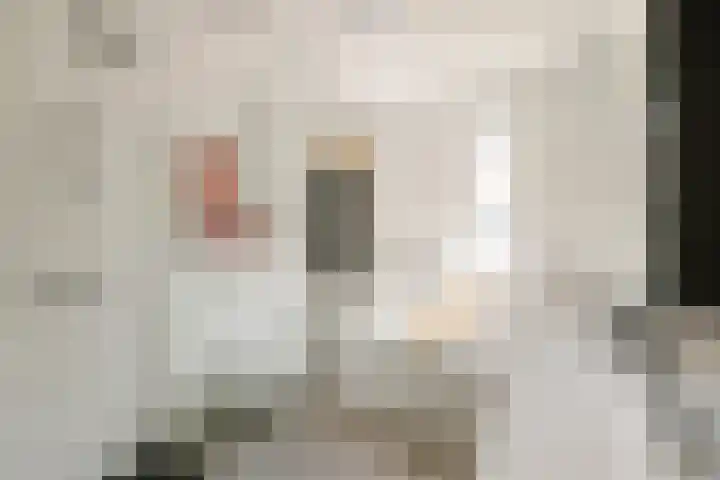 Molenwerf 6 Spaarndam thumbnail 24