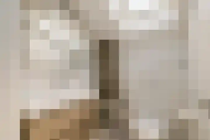Molenwerf 6 Spaarndam thumbnail 32
