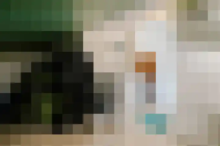 Molenwerf 6 Spaarndam thumbnail 34