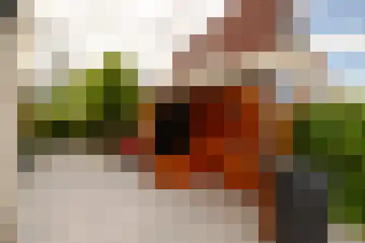 Molenwerf 6 Spaarndam thumbnail 40