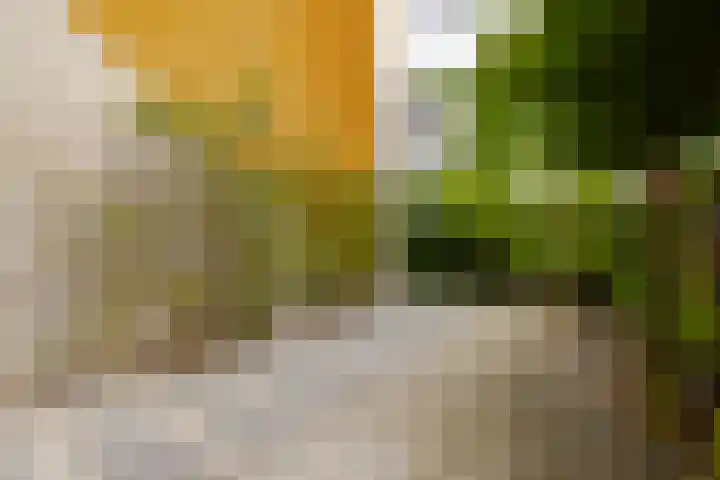 Molenwerf 6 Spaarndam thumbnail 43