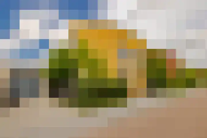 Molenwerf 6 Spaarndam thumbnail 44