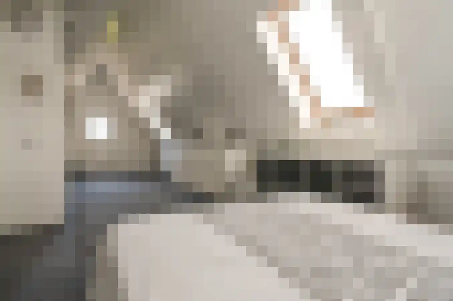 Molenwerf 63 Spaarndam thumbnail 21