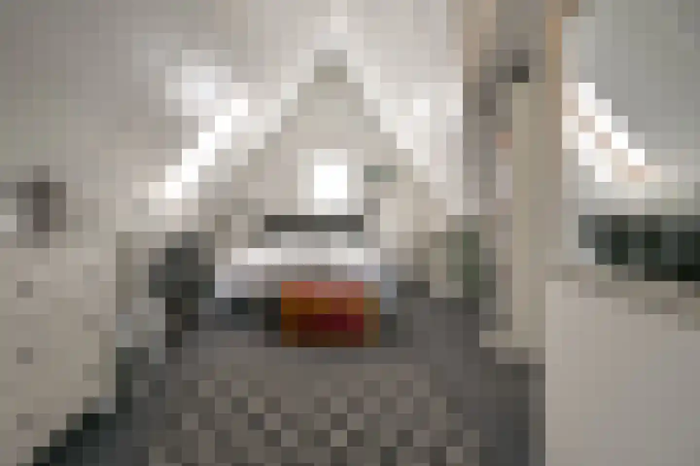 Molenwerf 63 Spaarndam thumbnail 26