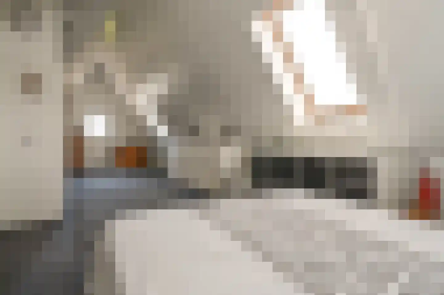 Molenwerf 63 Spaarndam thumbnail 28