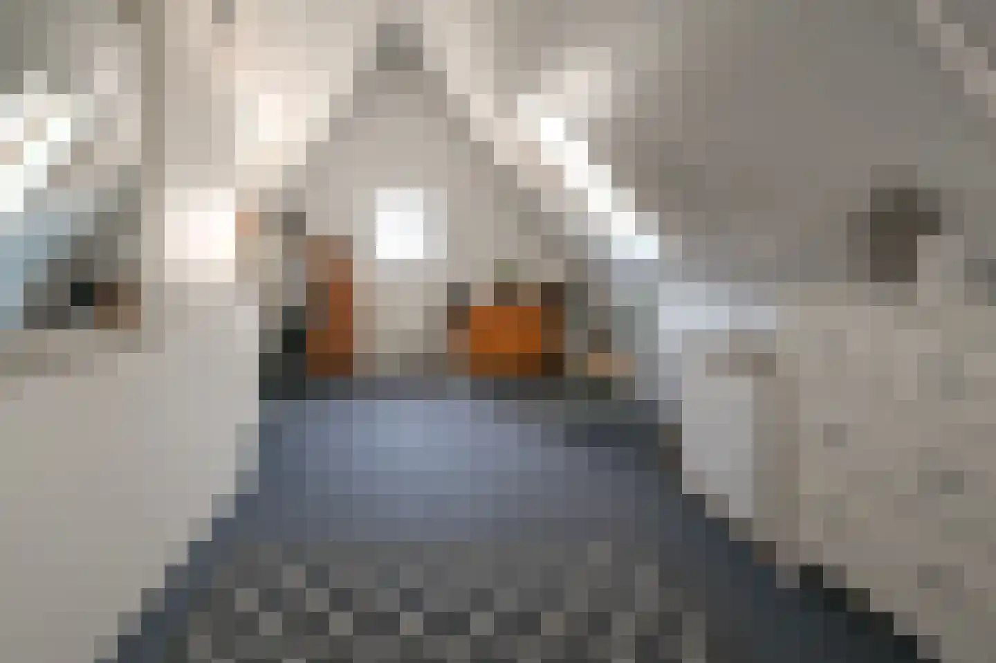 Molenwerf 63 Spaarndam thumbnail 29