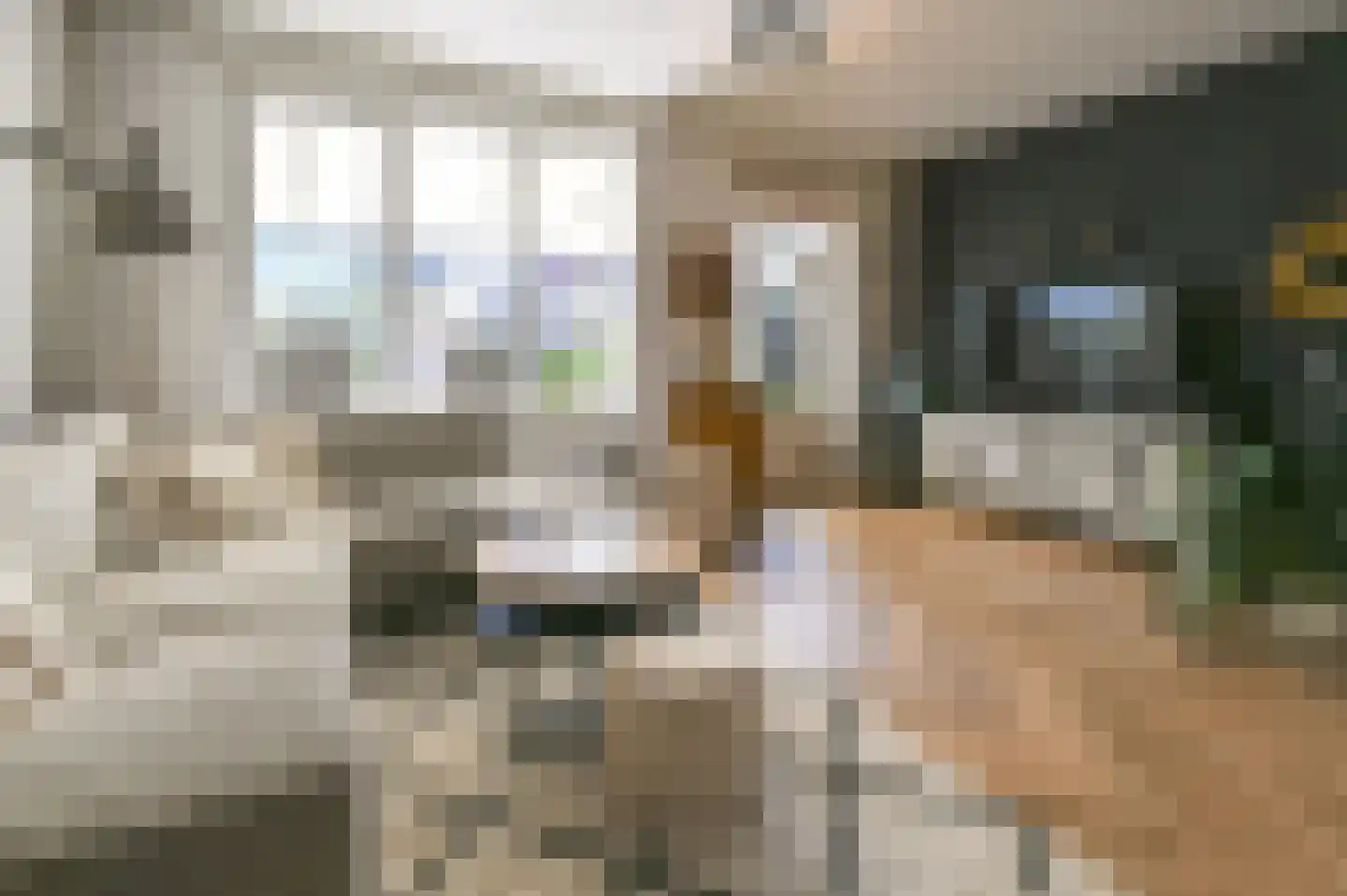 Molenwerf 63 Spaarndam thumbnail 4