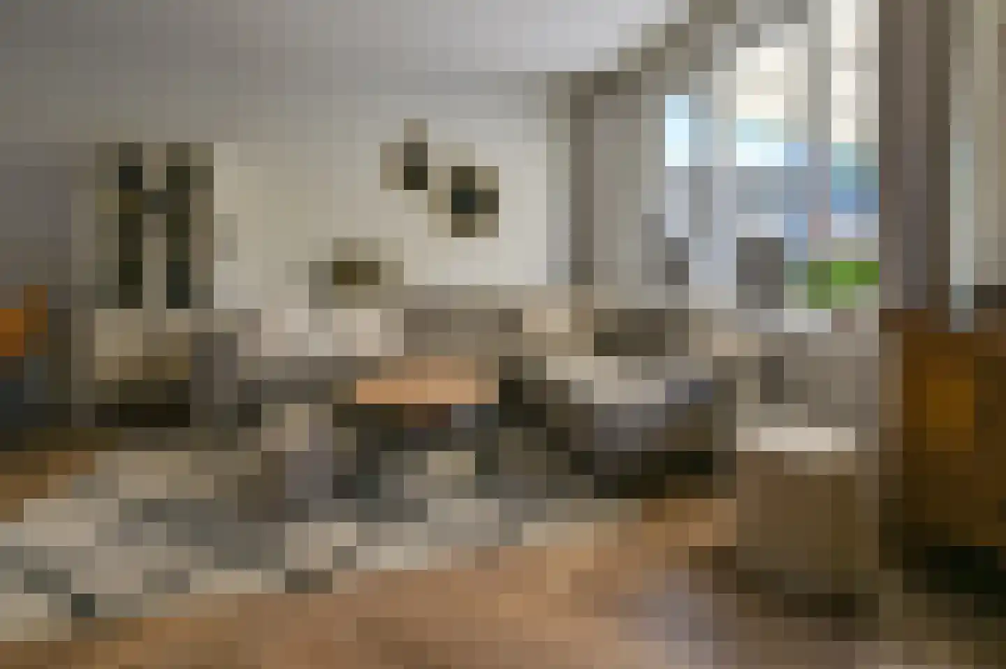 Molenwerf 63 Spaarndam thumbnail 5