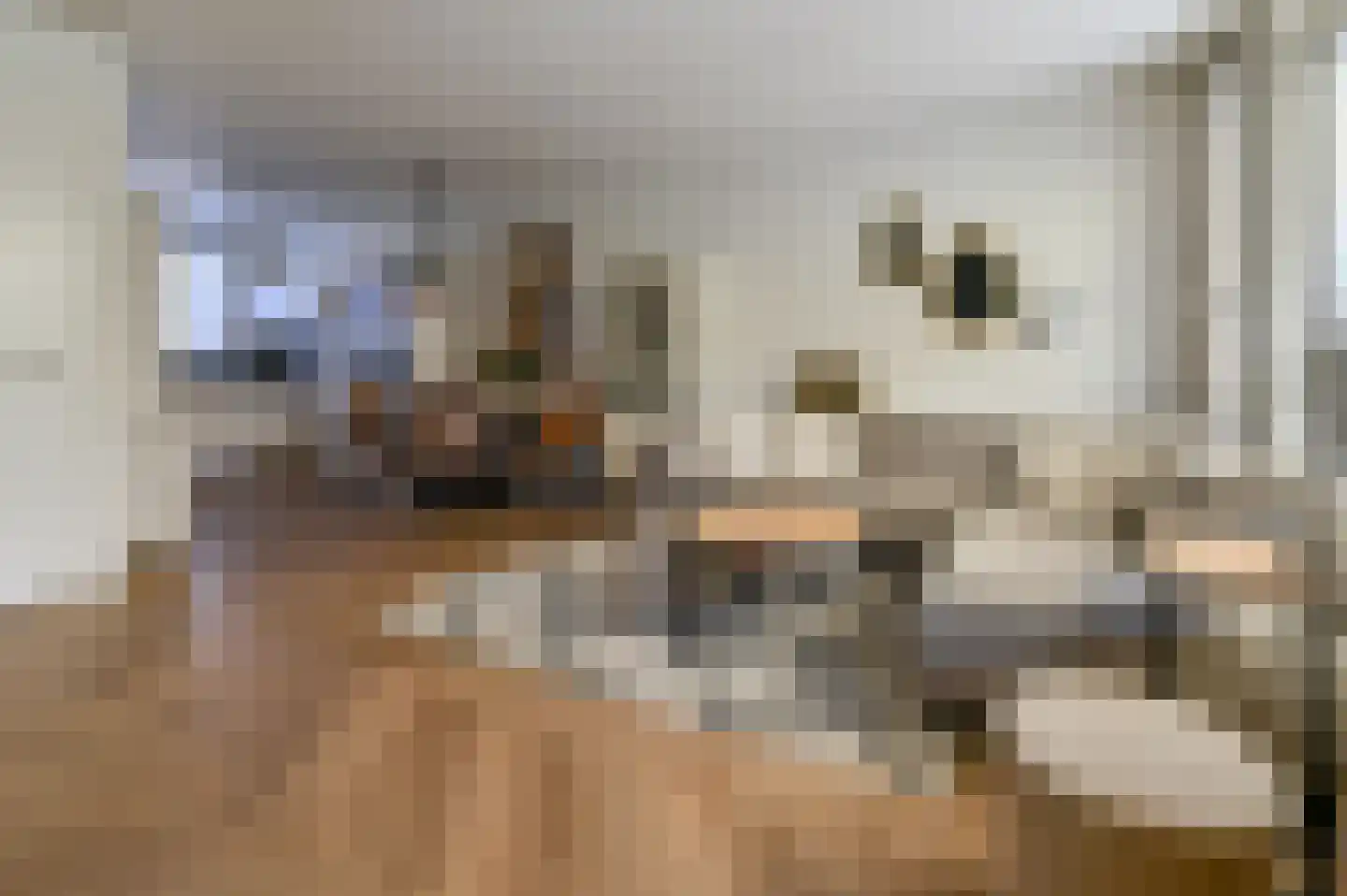 Molenwerf 63 Spaarndam thumbnail 6