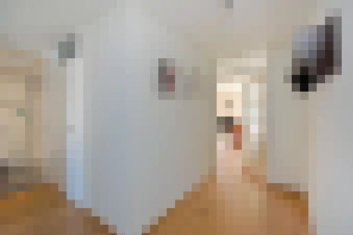 Molenwerf 8 Breukelen thumbnail 9
