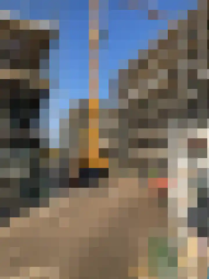 Molenwerf 82 Koog aan de Zaan thumbnail 11