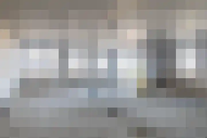 Molenwerf 82 Koog aan de Zaan thumbnail 16