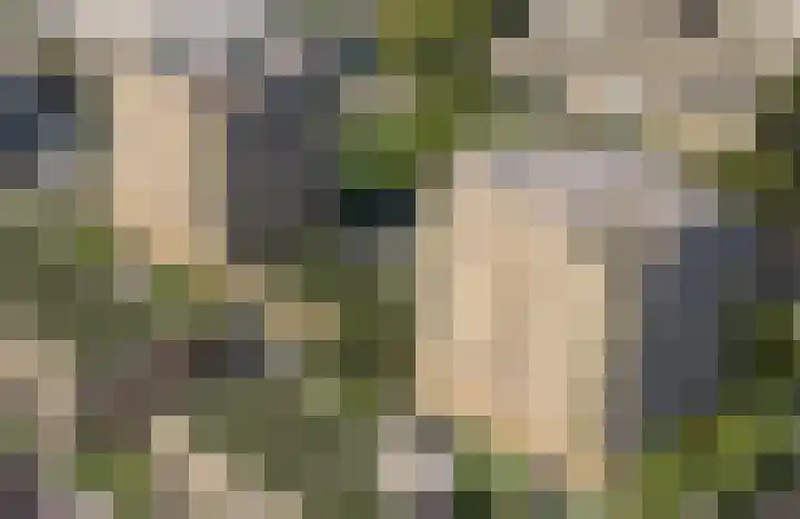 Molenwerf 82 Koog aan de Zaan thumbnail 4