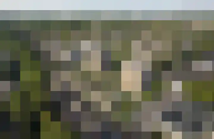 Molenwerf 82 Koog aan de Zaan thumbnail 8