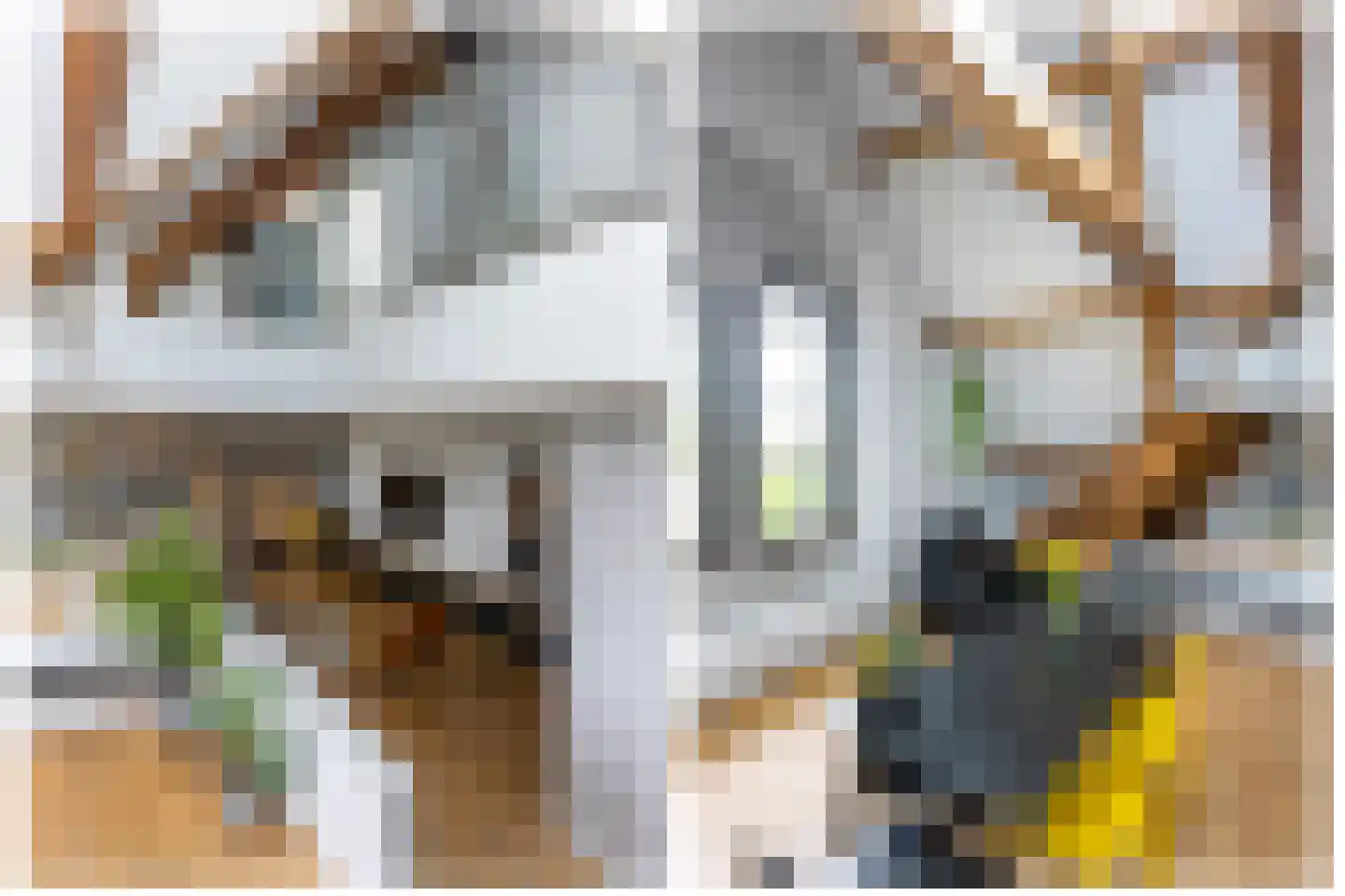 Molenwerfhof 14 Utrecht thumbnail 12
