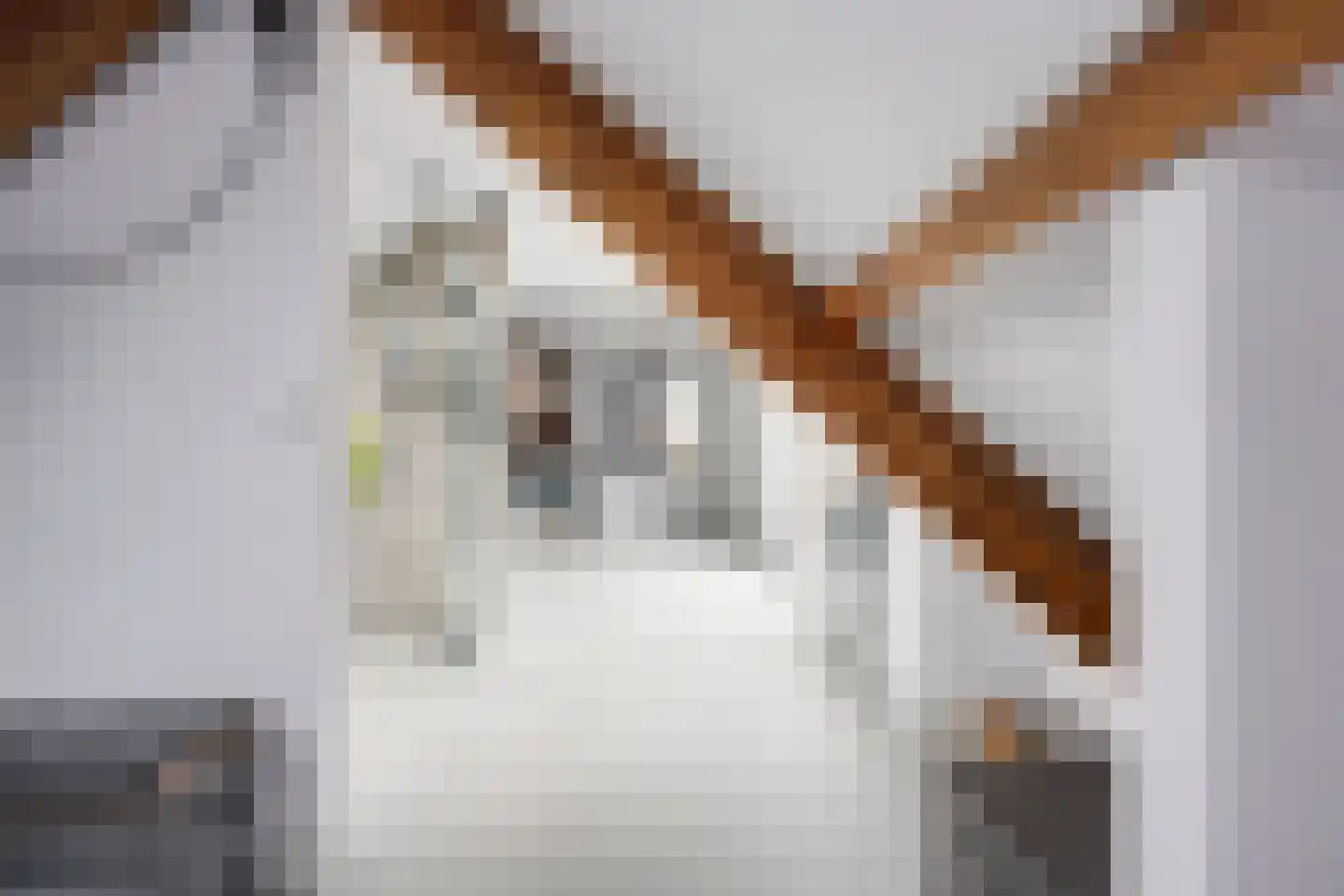 Molenwerfhof 14 Utrecht thumbnail 20