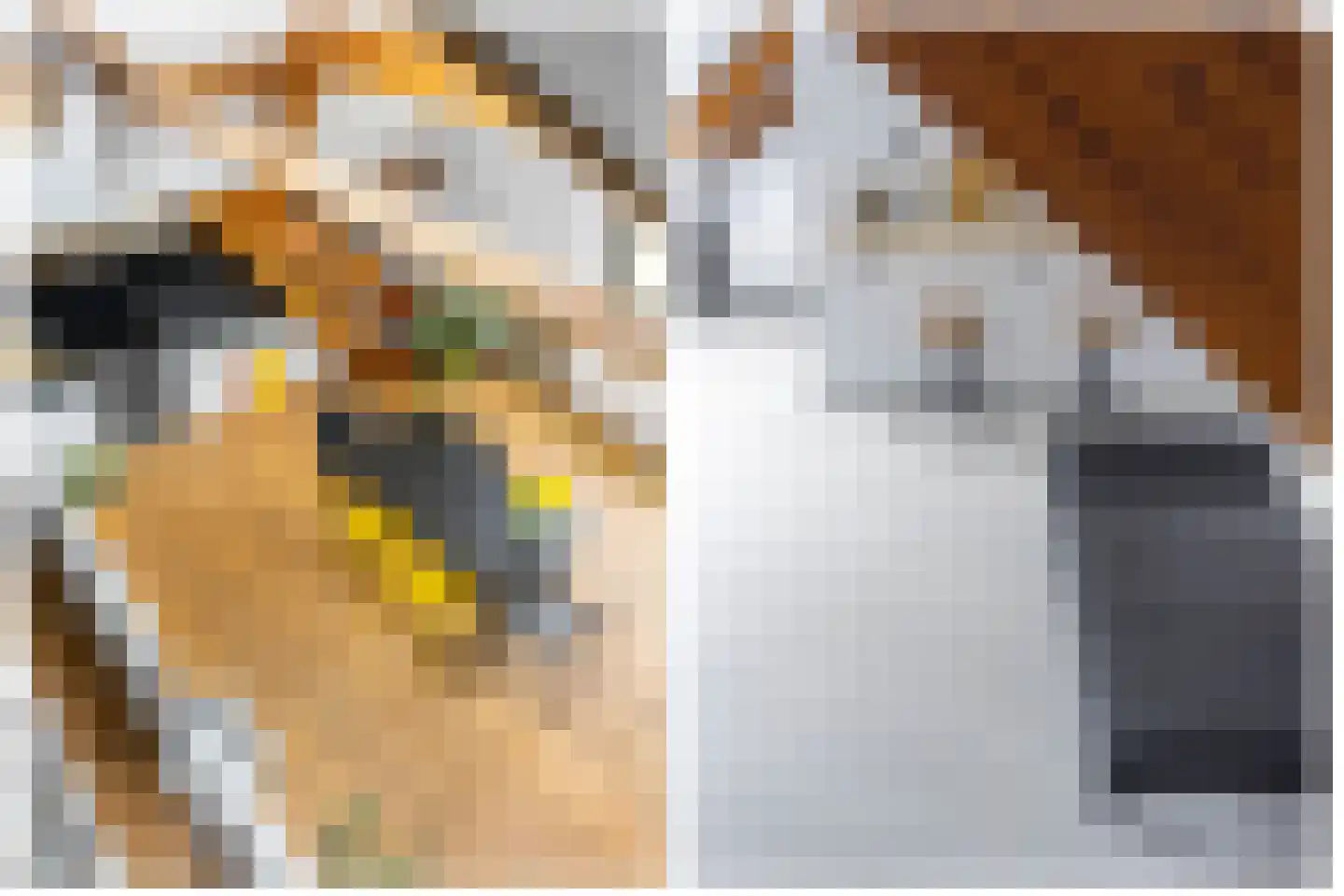 Molenwerfhof 14 Utrecht thumbnail 27