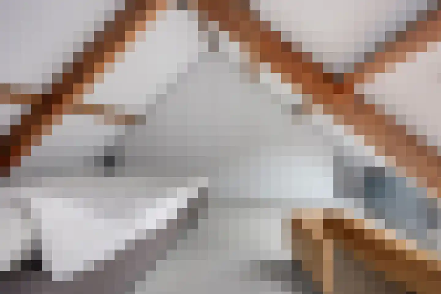 Molenwerfhof 14 Utrecht thumbnail 34
