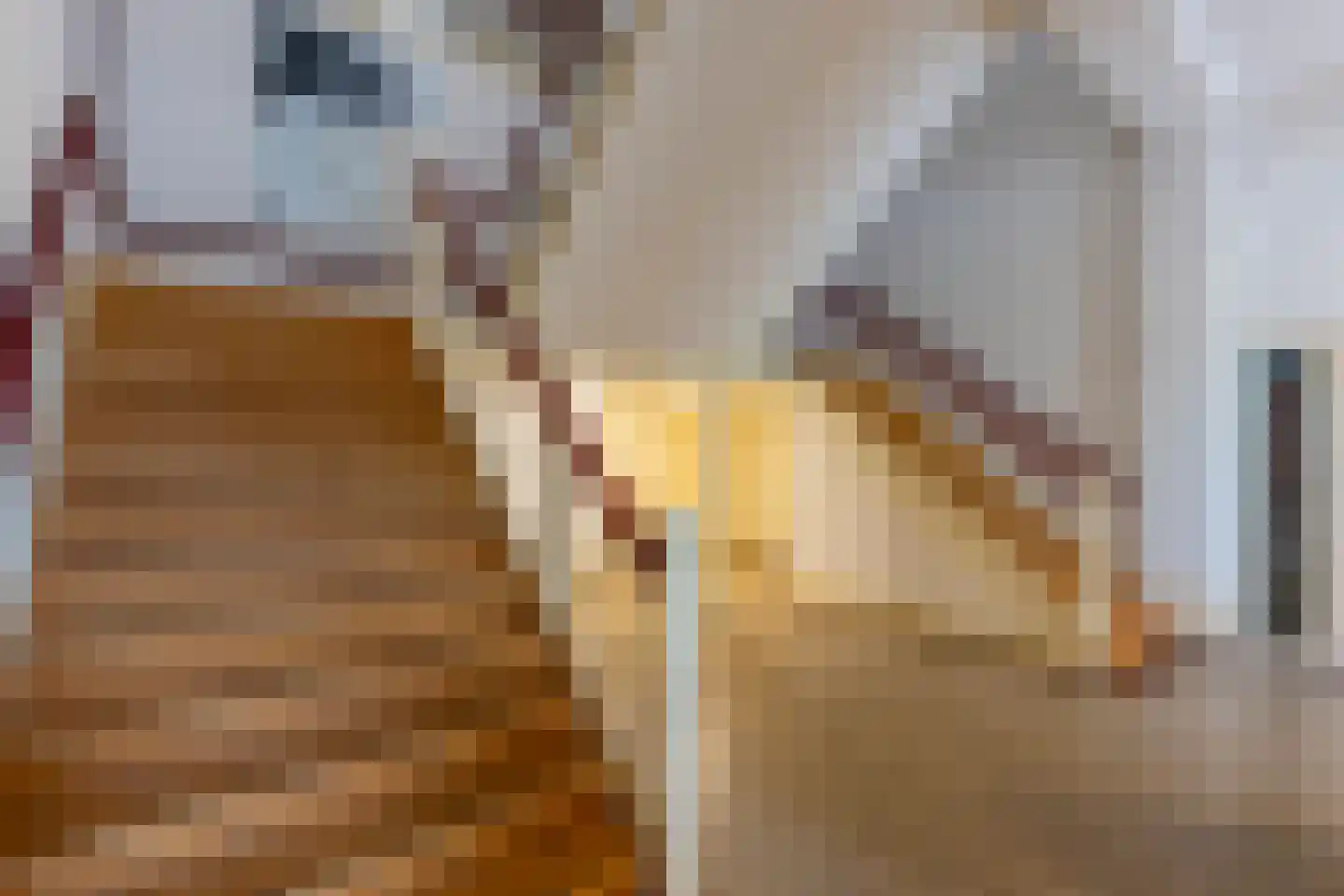 Molenwerfhof 14 Utrecht thumbnail 37