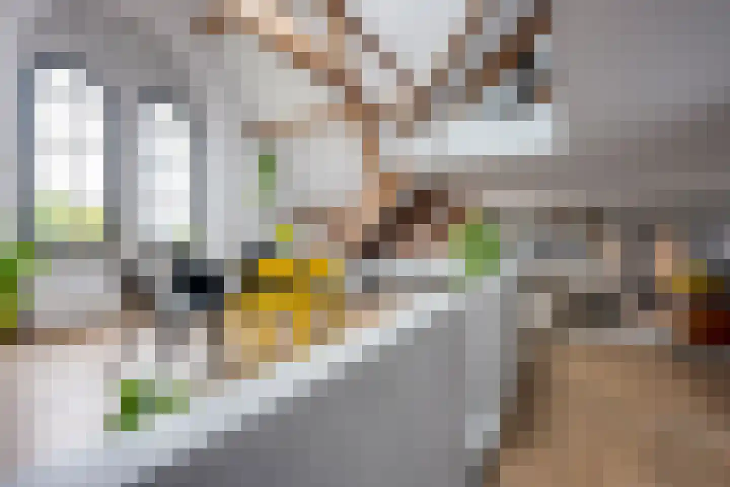Molenwerfhof 14 Utrecht thumbnail 4