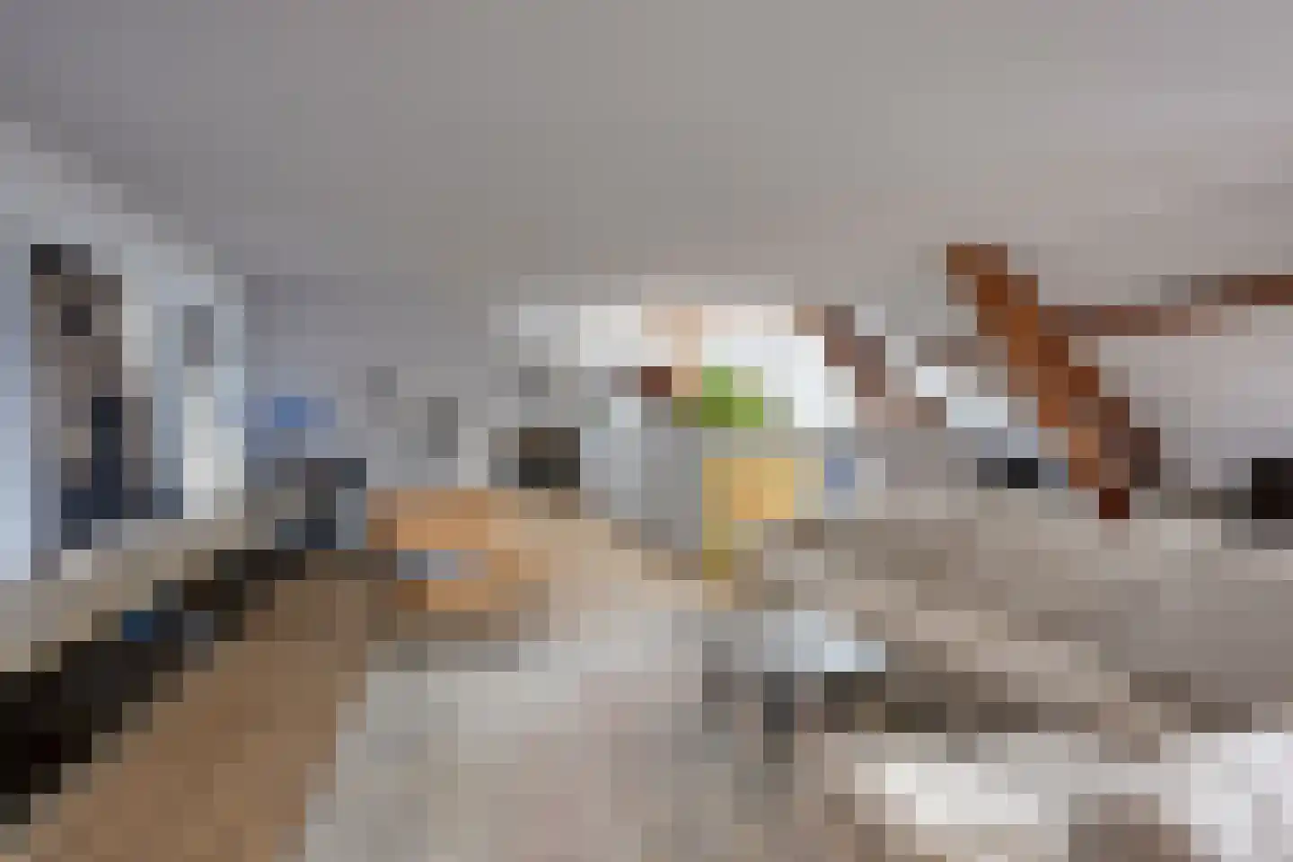 Molenwerfhof 14 Utrecht thumbnail 8