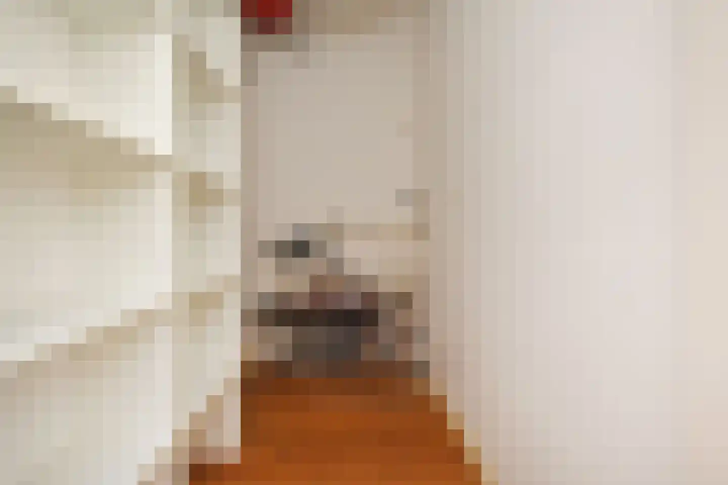 Molenwerfstraat 23 Berkel en Rodenrijs thumbnail 32