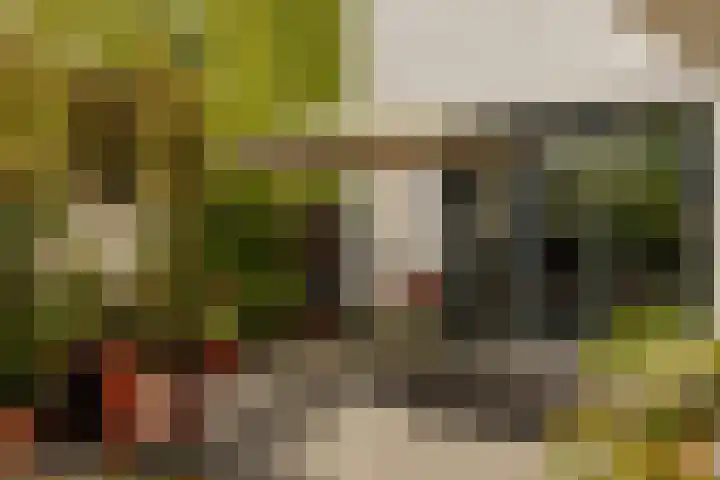 Molenwetering 11 Abcoude thumbnail 12