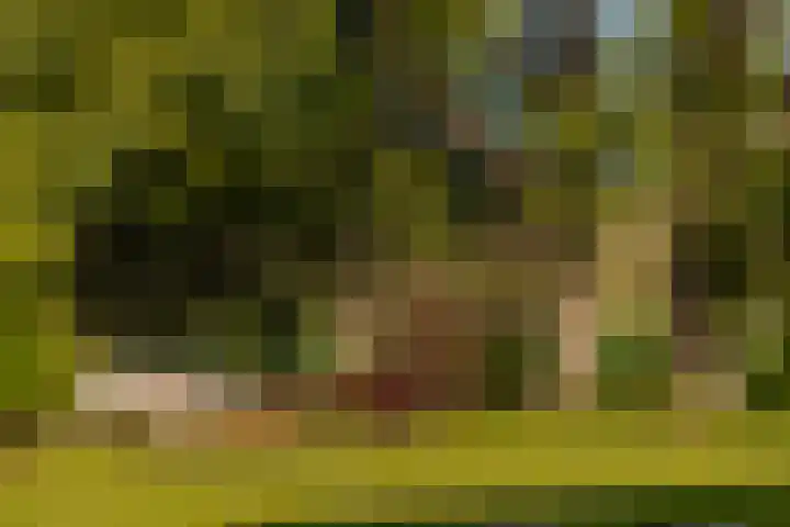 Molenwetering 11 Abcoude thumbnail 13