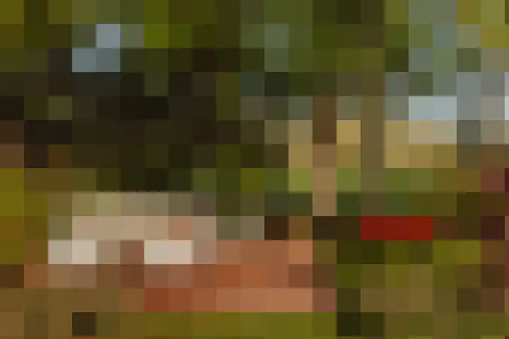 Molenwetering 11 Abcoude thumbnail 14